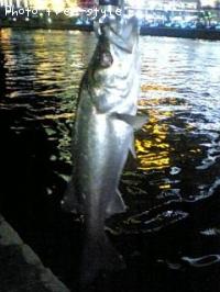 �ӣ��£���