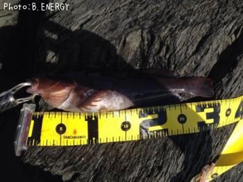 �����ʥ�