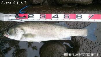 �����Х�