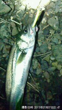 �����Х�