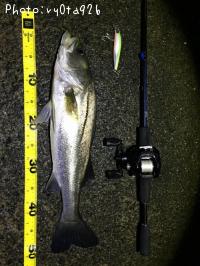 �����Х�