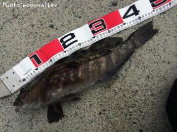 �����ʥ�