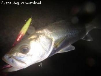 �����Х�