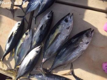 �ޥ����������ĥ�