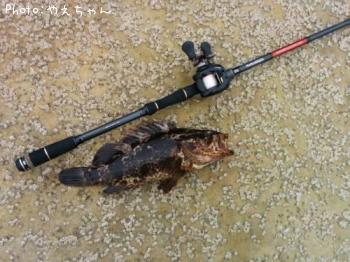 �٥å�������