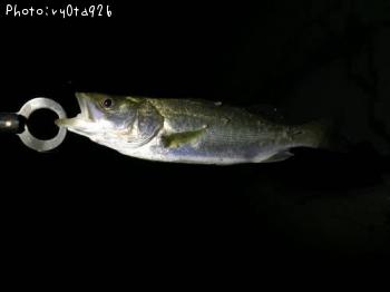 �����Х�