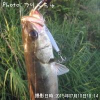 �����Х�