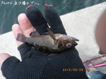 ������Х�