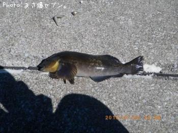 �����ʥ�