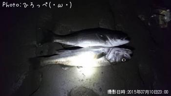 �����Х�