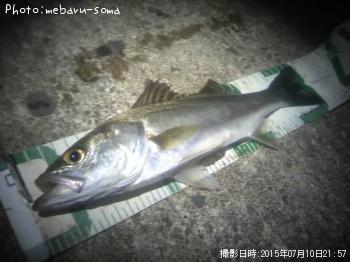 �����Х�