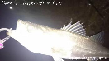 �����Х�