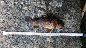 ¥¿¥±¥Î¥³¥á¥Ð¥ë