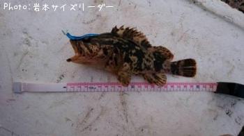 ¥¿¥±¥Î¥³¥á¥Ð¥ë