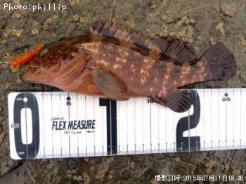 �����ϥ�