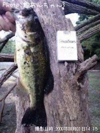 ¥Ö¥é¥Ã¥¯¥Ð¥¹