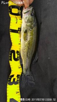 �֥�å��Х�