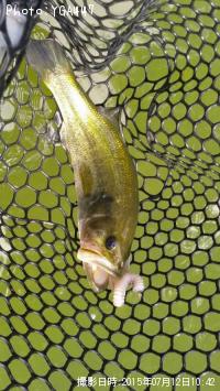 �֥�å��Х�