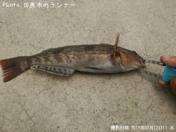 �����ʥ�