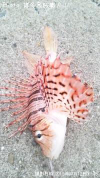 �ߥΥ�����