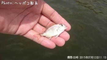 ����ꥳ��