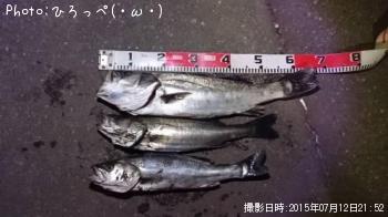 �����Х�