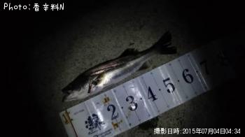 �����Х�