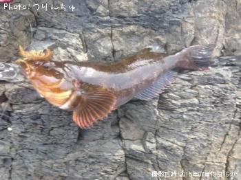 �����ʥ�