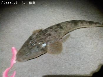 �ޥ���