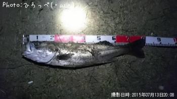 �����Х�