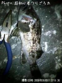 ¥Ù¥Ã¥³¥¦¥¾¥¤