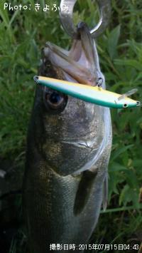 �����Х�