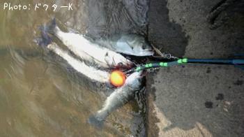 �����Х�