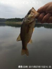 ¥Ö¥é¥Ã¥¯¥Ð¥¹