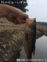 �֥�å��Х�