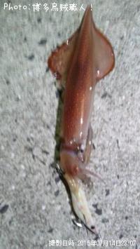 ���󥵥�����