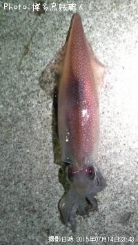 ���󥵥�����