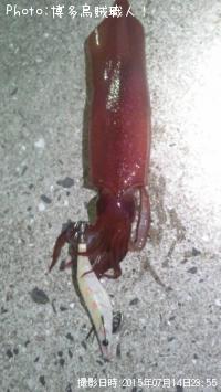 ���󥵥�����