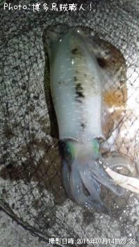 �����ꥤ��