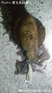 ¥¢¥ª¥ê¥¤¥«