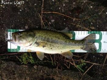 ¥Ö¥é¥Ã¥¯¥Ð¥¹