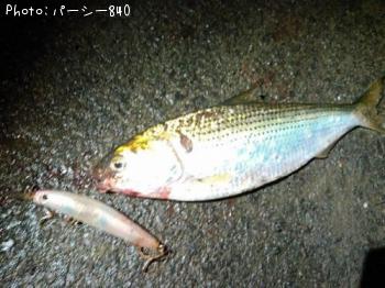 ���Υ���