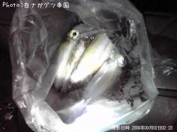 �����ꥤ��