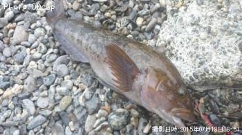 �����ʥ�