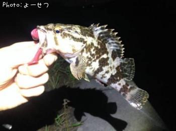 �����Υ���Х�