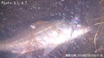 �����Х�