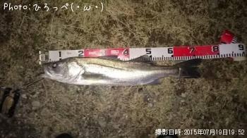 �����Х�