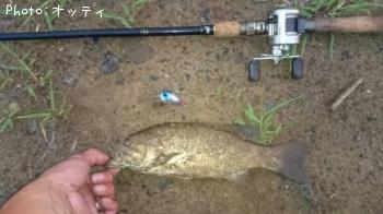 �֥�å��Х�