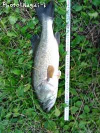 �֥�å��Х�