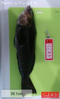 �����ʥ�